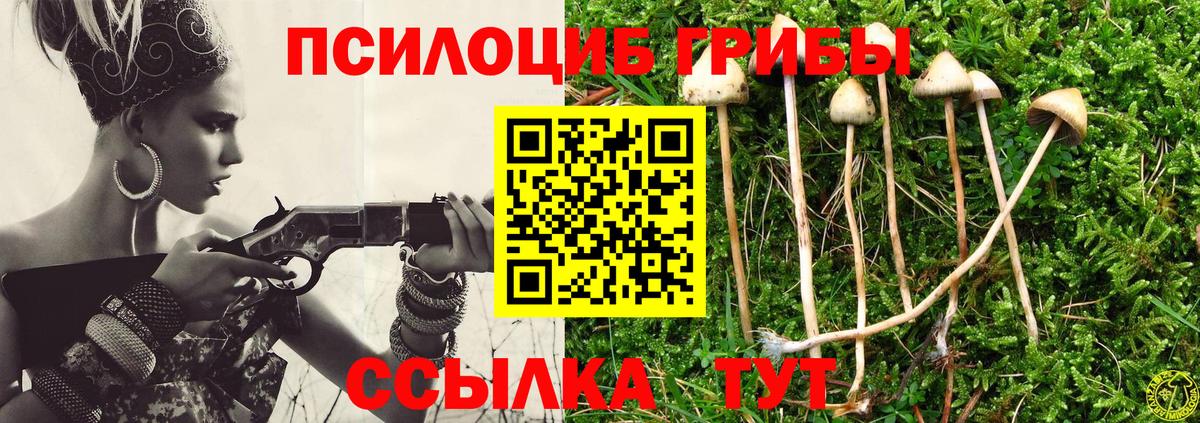 Галлюциногенные грибы GOLDEN TEACHER Нарткала